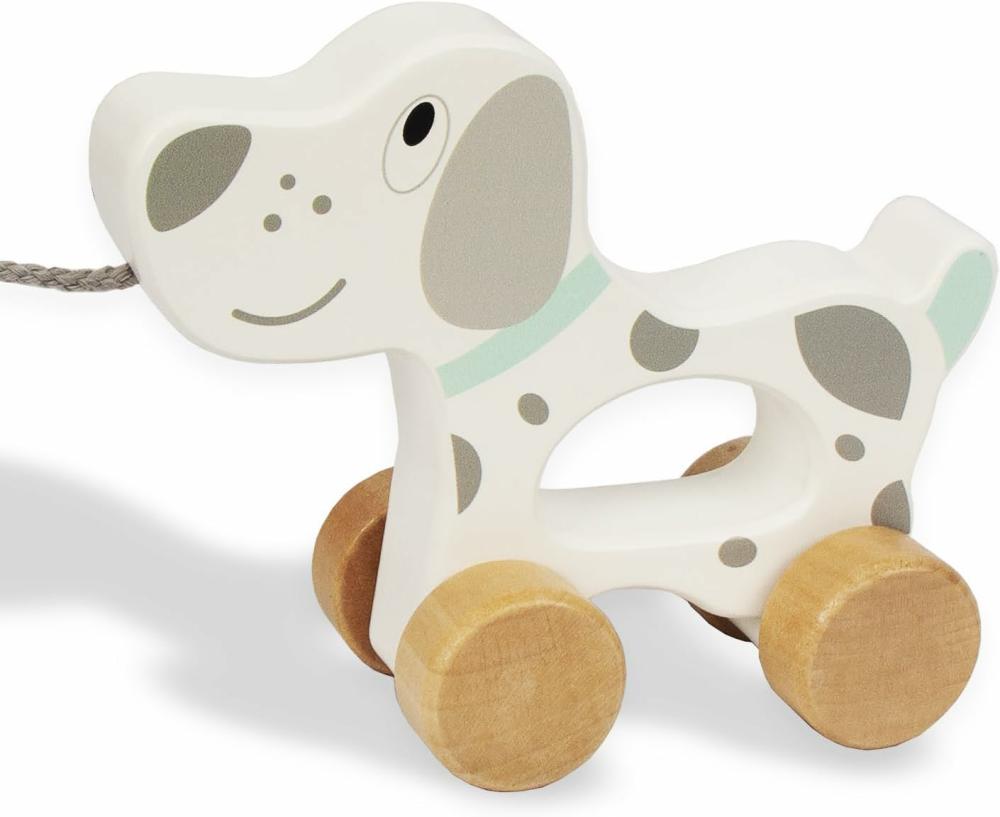 Jouets à tirer et à pousser  | Jouet pour bébé – Voiture en bois à tirer, jouet de développement pour les tout-petits, cadeau d’anniversaire pour fille ou garçon de 1 an (Chien)